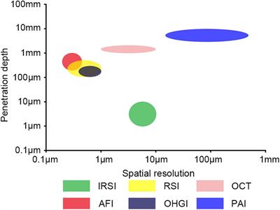 The Progress of Label-Free Optical Imaging in Alzheimer’s Disease Screening and Diagnosis